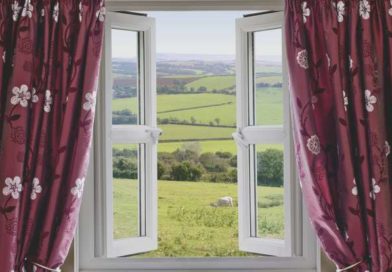 ÄR laryngit smittsam?